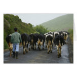 Azorean farmer cards