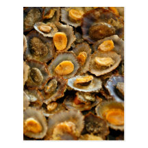 Azores limpets "lapas" post card