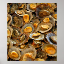 Azores limpets "lapas" print