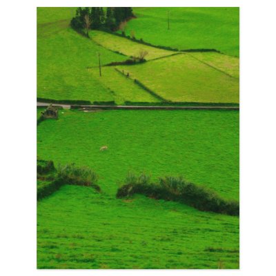 Azores pastures custom flyer by gavila_pt