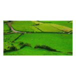 Azores pastures customized photo card