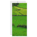 Azores pastures custom rack cards