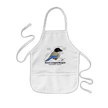 Azure-winged Magpie Statistics Aprons