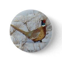 B0022 Ring-necked Pheasant button