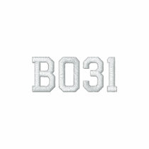 B031 Ladies Polo Shirt (Fitted)