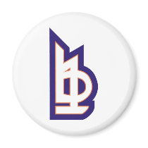 B1 MAGNETS