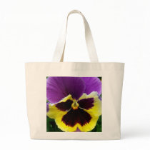 b1 Purple Yellow Purple Pansy