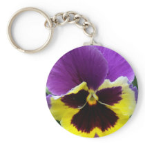 b1 Purple Yellow Purple Pansy