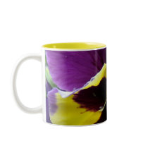 b1 Purple Yellow Purple Pansy
