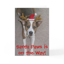 b1, Santa Paws is on the Way! Greeting Cards