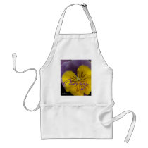 b2 Yellow Lavender Pansy