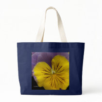 b2 Yellow Lavender Pansy
