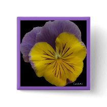 b2 Yellow Lavender Pansy