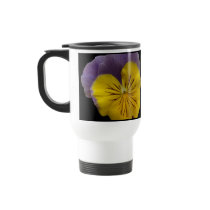 b2 Yellow Lavender Pansy