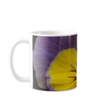b2 Yellow Lavender Pansy