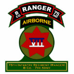 B Co, 75th Infantry Regiment - Rangers, Germany photo sculptures