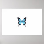 B Fly Print (Large)..!