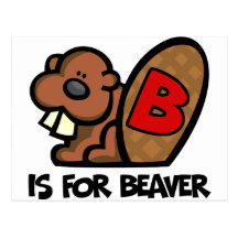 B Is For Beaver Post Cards