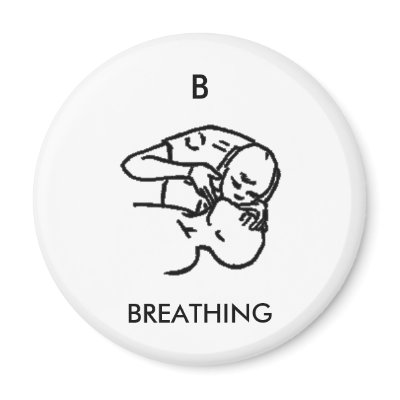 B is for BREATHING - magnet by Horseshoes3