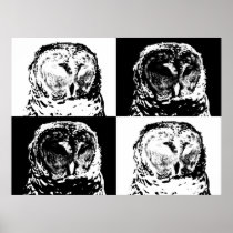 B/W Barred Owl Pop Art