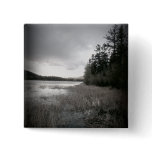 B&W Lake Marsh Landscape