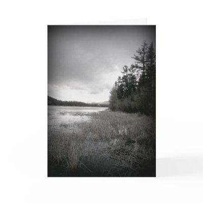 B&W Lake Marsh Landscape by CountryCorner