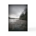 B&W Lake Marsh Landscape cards