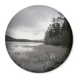 B&W Lake Marsh Landscape