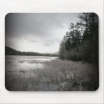 B&W Lake Marsh Landscape