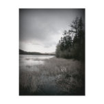 B&W Lake Marsh Landscape
