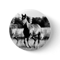 B&W Running Horse Pinback Buttons