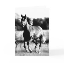 B&W Running Horse Greeting Cards