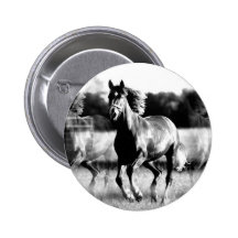 B&W Running Horse Pinback Buttons