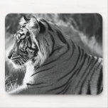 B&W Tiger Profile Photo Mouse Pad