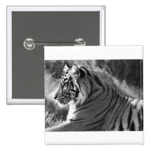 B&W Tiger Profile Photo Pins