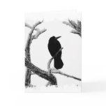 B&W Winter Raven Edgar Allan Poe
