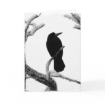 B&W Winter Raven Edgar Allan Poe Greeting Card