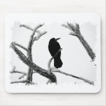B&W Winter Raven Edgar Allan Poe