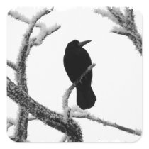 B&W Winter Raven Edgar Allan Poe