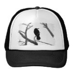 B&W Winter Raven Edgar Allan Poe Trucker Hats