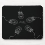 B&W X-Ray Computer Mice - Geek