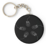 B&W X-Ray Computer Mice keychains
