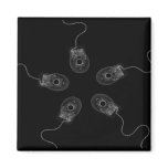 B&W X-Ray Computer Mice magnets