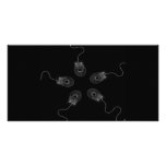 B&W X-Ray Computer Mice photo cards