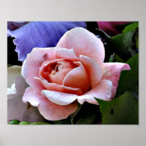 BA- Rose Wall Art Poster