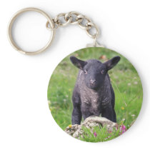 Baa-Baa Black Sheep Keyring Keychain