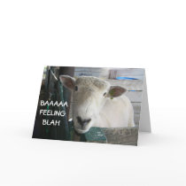 BAAAAA-FEELING BLAH- GET WELL GREETING CARD