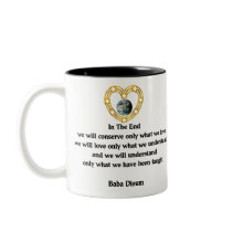 Baba Dioum Quote