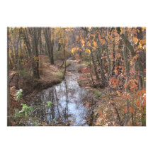 Babbling Brook Announcement