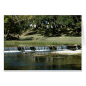 Babbling Brook cards